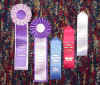 Ribbons won at OFF.jpg (90258 bytes)