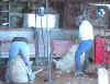 two shearers at work.jpg (89825 bytes)