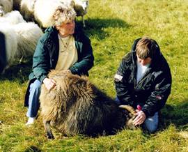 Image of Stefania at the Rettir catching a ewe